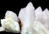 Cactus Quartz (Amethyst) Cluster - Large Crystals #62966-2